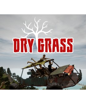 Dry Grass Steam Key GLOBAL